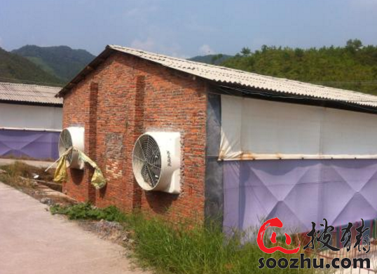 LOL赛事的"押注猪场通风降温设备一览建议收藏！(图1)
