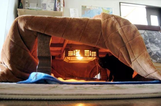 日本冬天零下英雄联盟赛事30多度为啥不装暖气？他们靠啥过冬？(图4)