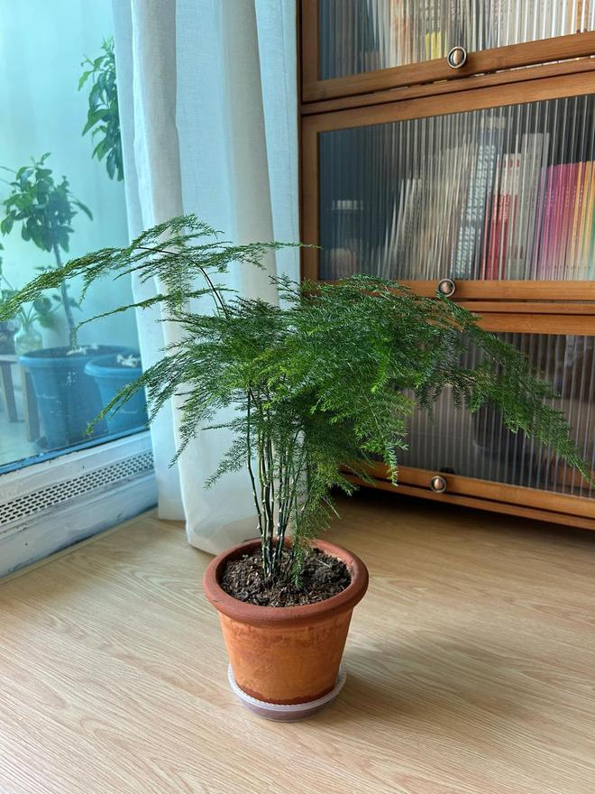 英雄联盟赛事不管有钱没钱茶几上别放这4样东西很多人不懂实际大有讲究(图13)