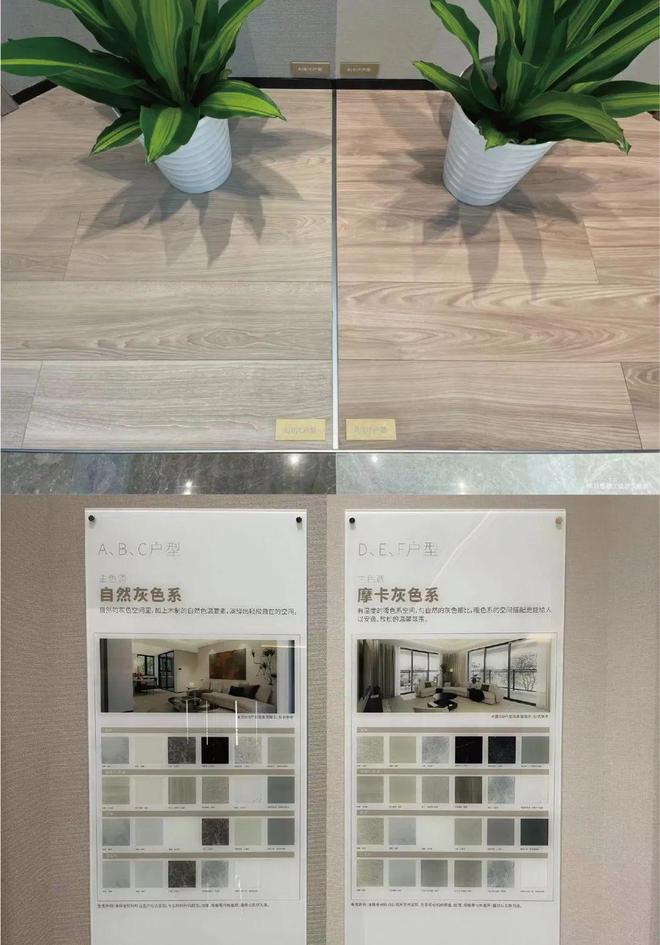 LOL比赛大和和风雅信官方网站_大和和风雅信欢迎您-楼盘详情(图5)
